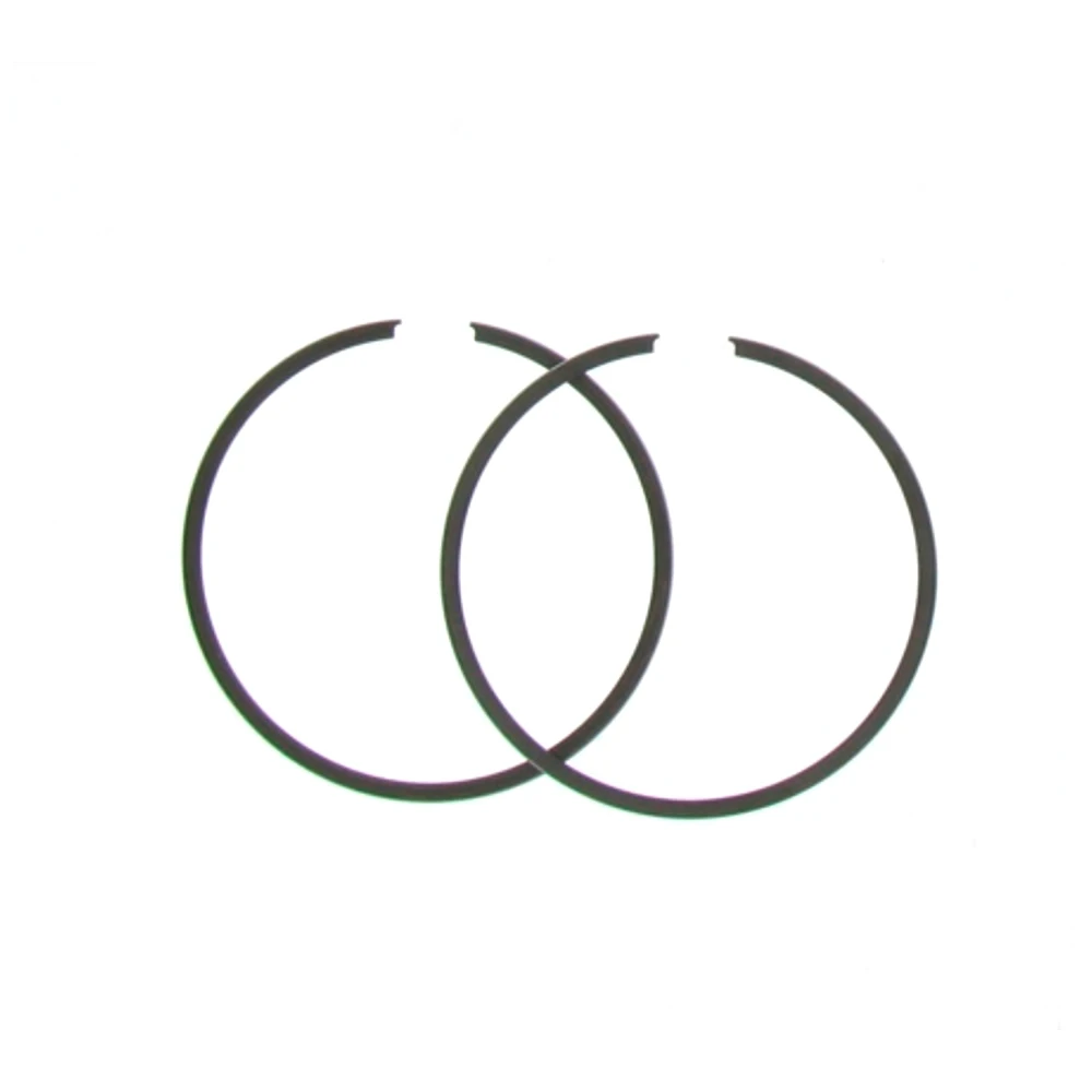 Segments pour 43010 (65x1mm)