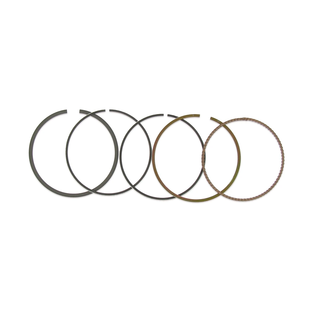 Segments Malossi 67mm pour 150000