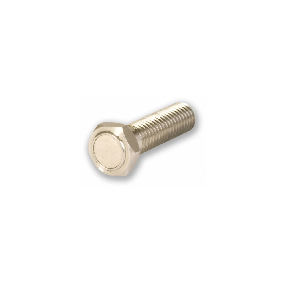 Vis à aimant M8x1.25mm, L: 29mm Inox 1pce