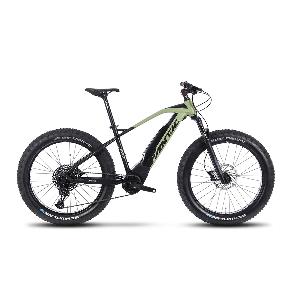 FANTIC E-Bike Integra FAT SPORT 630Wh S olive green