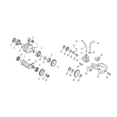 Pignon intermédiaire de pompe à huile AM6 (No. 29)