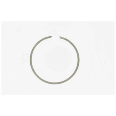 Segment Malossi pour 46050