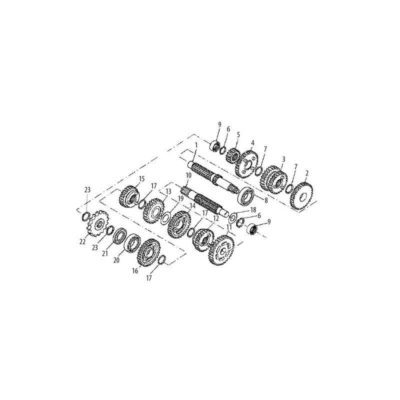 Pignon 3ème et 4ème vitesse arbre primaire Minarelli AM6 (No. 3)