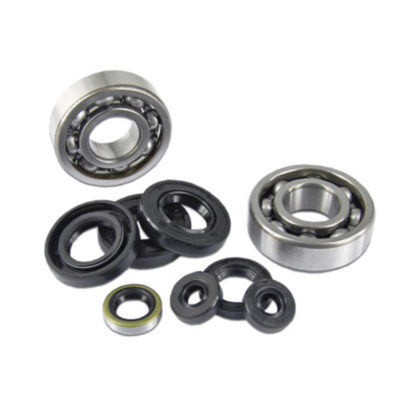 Kit roulements et joints spy moteur Derbi Senda D50B0 2006 ->