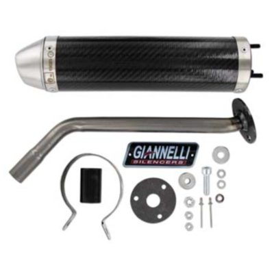 Silencieux carbon Beta RR 50 Enduro+Motard 12 -> (Ø 19mm)