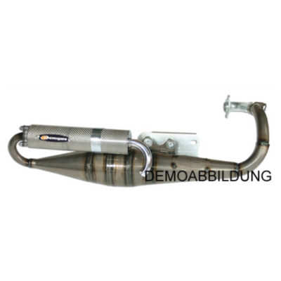 Echappement Tecnigas RS Kymco Super 9/SYM PRIXNET