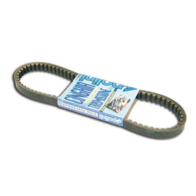 Courroie Polini Race Minarelli Kevlar