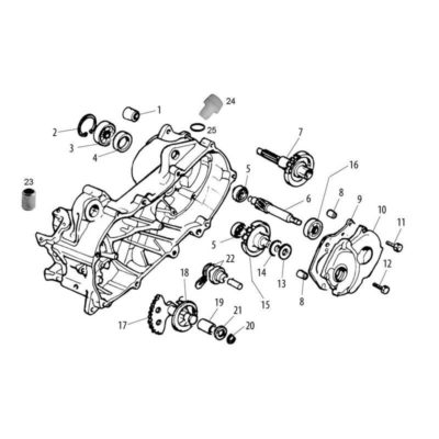 Vis d'huile engrenage moteur Minarelli horizontal (No. 24)