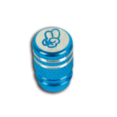 bouchons de valve Vicma bleu (2 pièce)