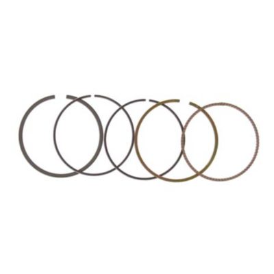 Segments Malossi 67mm pour 150000