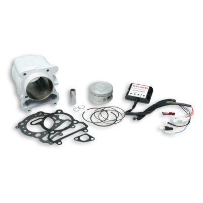 Kit cylindre Malossi 74mm Axe17mmyamaha XMAX 250cc ie 2010