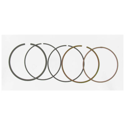 Segments Malossi pour 150700