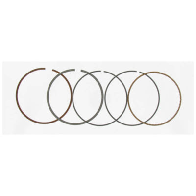 Segments pour kit Malossi 150950/150960