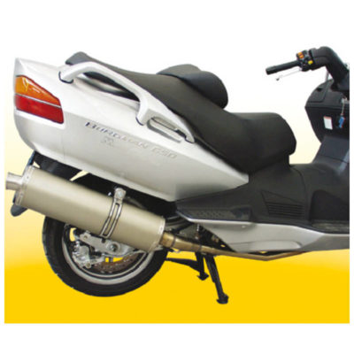 Pot échappement Malossi Wild Lion Suzuki PRIX NET