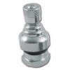 Valve droite alu chromé pour tubeless (2 pic)