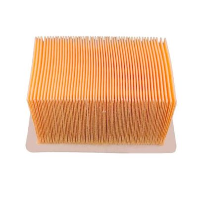 Filtre à air CHAMPION CAF6911