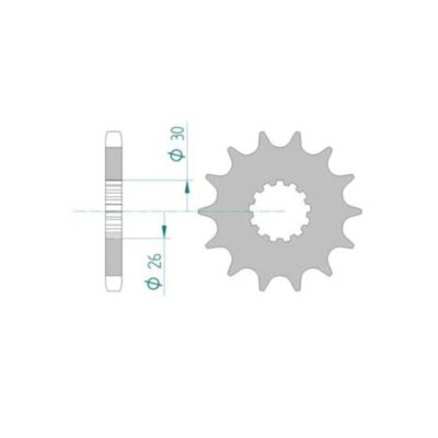 Pignon Triumph 530/19D