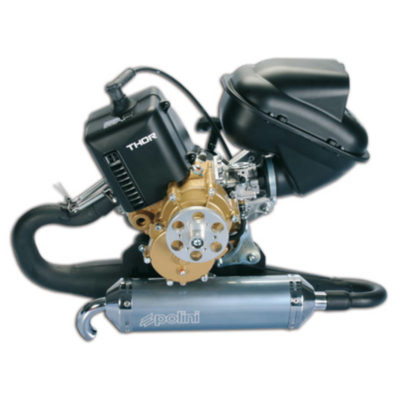 Moteur Polini THOR 100