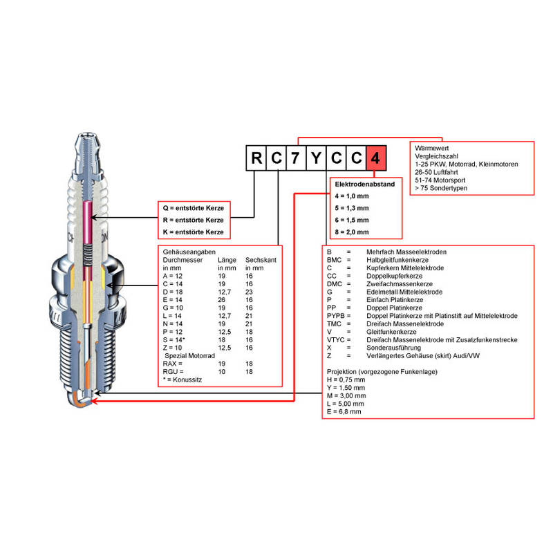 Beschreibung_Champion
