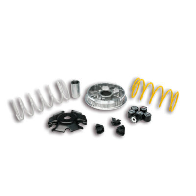 Variateur Malossi Multivar 2000 Piaggio Liberty 125 / Vespa Primavera 125