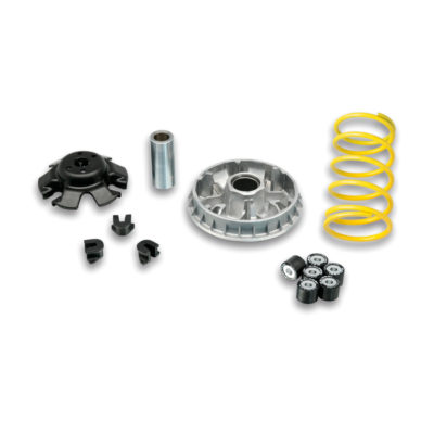 Variateur Malossi Multivar 2000 Honda CN 250 93-> / Piaggio Hexagon GT 250 98->