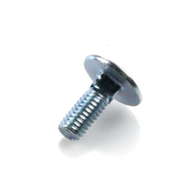 Vis (M6 x 16mm) pour support plaque