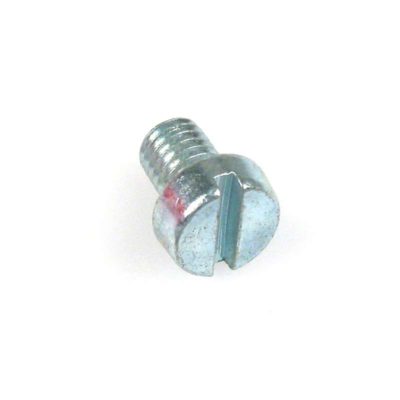 Vis cylindre avec fente M 6/1 x  3.9 x 8mm (DIN 84) galvanisé-bleu