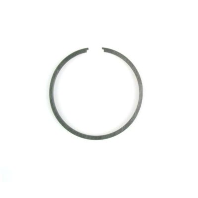 Segment METEOR Ø 38 x 1.5 x 1.6mm pour Sachs 535 1A CH (4104)
