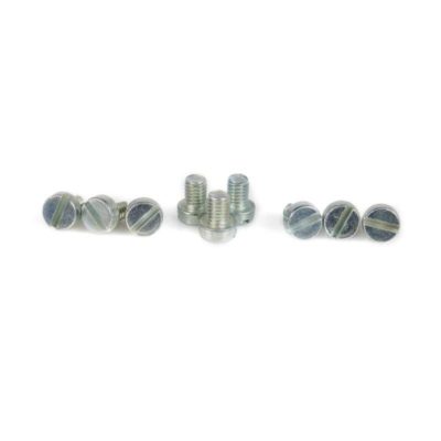 Vis cylindre avec fente M 6/1 x 3.9 x 8mm (DIN 84) galvanisé-bleu