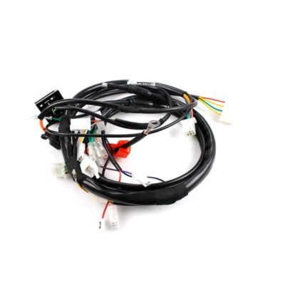 Faisceau de cables LEONELLI avec intérupteur pour Beta 521