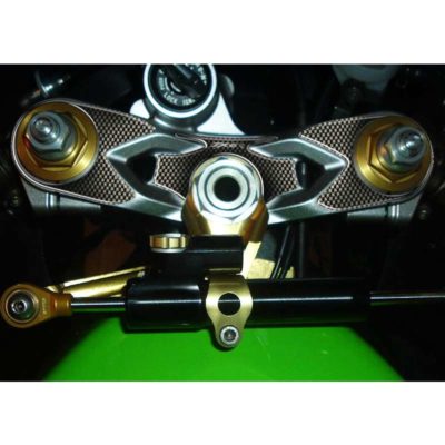 Protège tête de fourche PRINT carbon-look Kawasaki