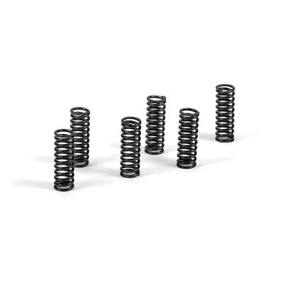 Ressorts d'embrayage Performance high load (fort) Fantic XE XX 125 (5 pcs)