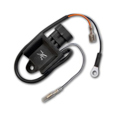 Allumage Ciao / SI électronique complet Malossi